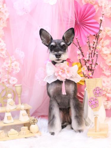 20250328ニーナちゃん